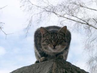 http://upforme.ru/uploads/0007/d9/2b/6339-1.jpg