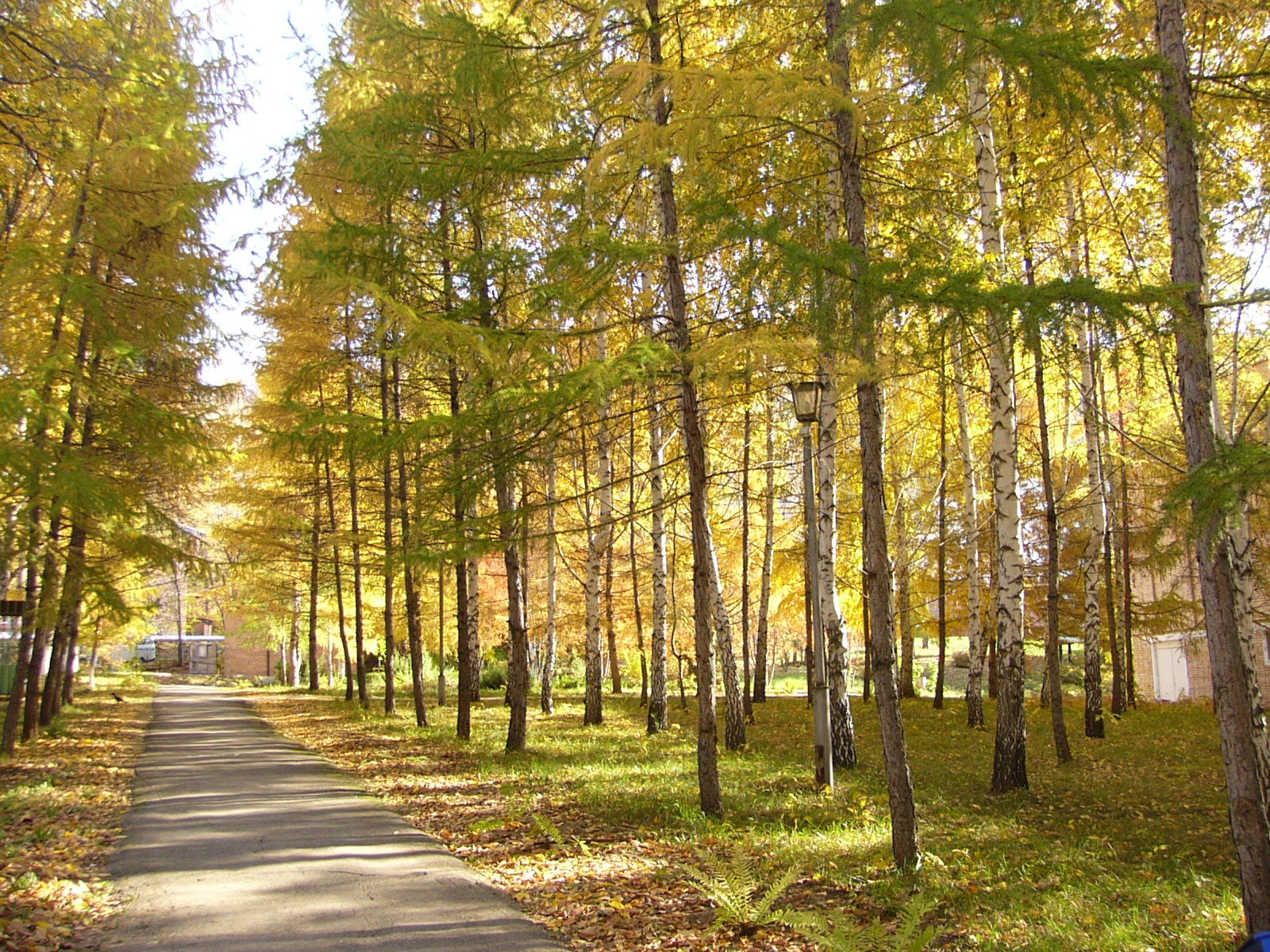 http://upforme.ru/uploads/0007/dd/88/57350-1-f.jpg