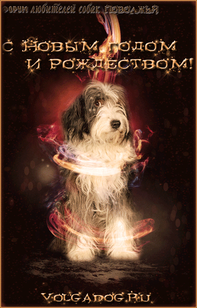 http://upforme.ru/uploads/0007/e3/f7/47162-1-f.jpg