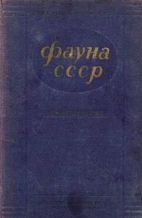 http://upforme.ru/uploads/0008/03/58/3485-1-f.jpg