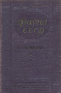 http://upforme.ru/uploads/0008/03/58/3521-1-f.jpg