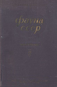 http://upforme.ru/uploads/0008/03/58/3562-1-f.jpg