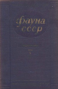 http://upforme.ru/uploads/0008/03/58/3606-1-f.jpg