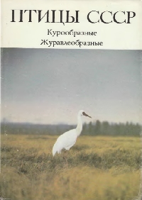 http://upforme.ru/uploads/0008/03/58/3641-2-f.jpg
