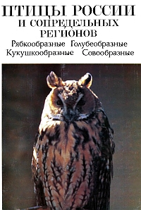 http://upforme.ru/uploads/0008/03/58/4697-1-f.jpg