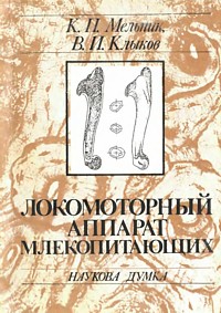 http://upforme.ru/uploads/0008/03/58/5081-1-f.jpg
