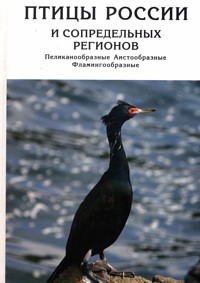 http://upforme.ru/uploads/0008/03/58/6425-1-f.jpg