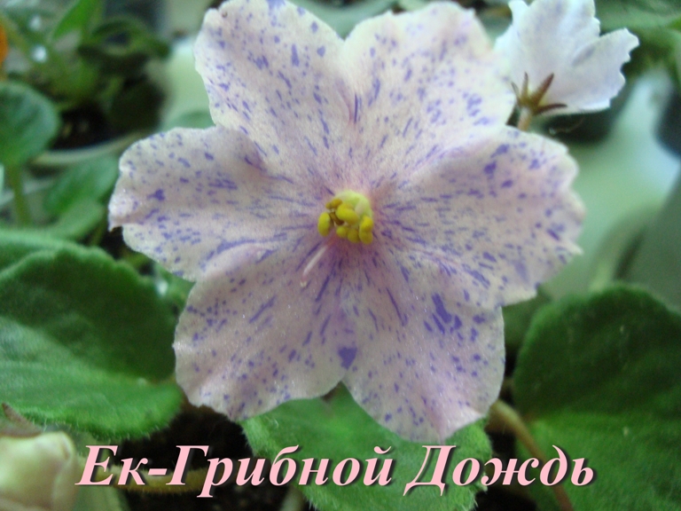 http://upforme.ru/uploads/0008/20/bc/3792-1-f.jpg