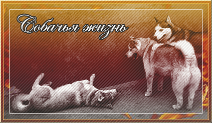 http://upforme.ru/uploads/0008/84/e0/752-1-f.png