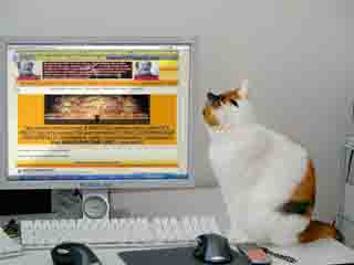 http://upforme.ru/uploads/0008/8f/c2/3680-5.jpg