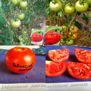 http://upforme.ru/uploads/0008/a6/2e/2/t17167.jpg