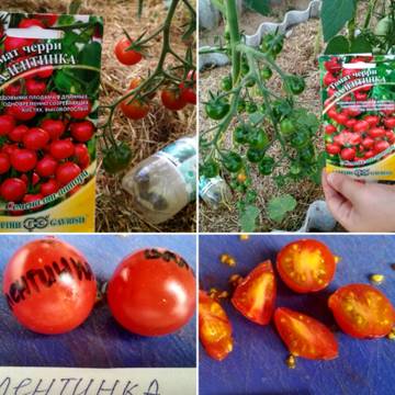 http://upforme.ru/uploads/0008/a6/2e/2/t19696.jpg