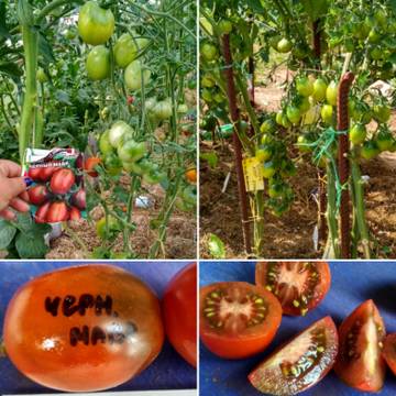 http://upforme.ru/uploads/0008/a6/2e/2/t35763.jpg