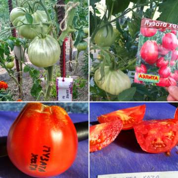 http://upforme.ru/uploads/0008/a6/2e/2/t38236.jpg