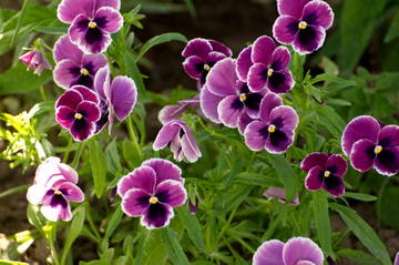 http://upforme.ru/uploads/0008/a6/2e/2/t53258.jpg