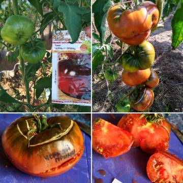 http://upforme.ru/uploads/0008/a6/2e/2/t54455.jpg