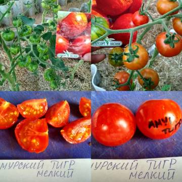 http://upforme.ru/uploads/0008/a6/2e/2/t54549.jpg