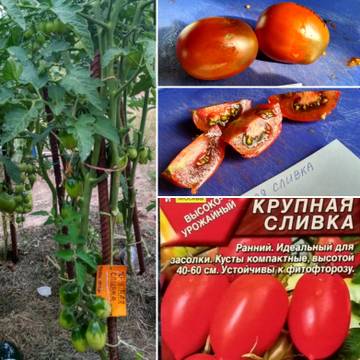 http://upforme.ru/uploads/0008/a6/2e/2/t60179.jpg