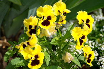 http://upforme.ru/uploads/0008/a6/2e/2/t85005.jpg