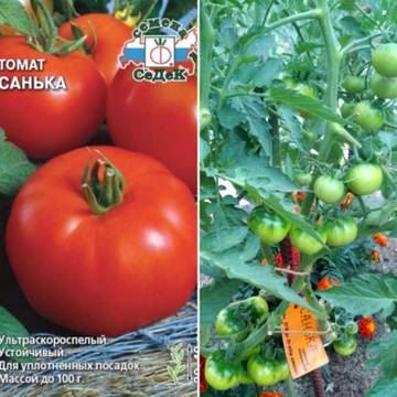 http://upforme.ru/uploads/0008/a6/2e/2/t87341.jpg
