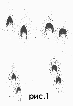http://upforme.ru/uploads/0008/ad/8b/1252-2-f.gif