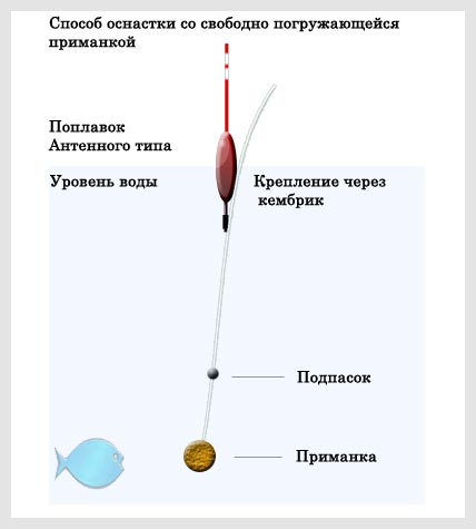 http://upforme.ru/uploads/0008/ad/8b/529-2-f.jpg