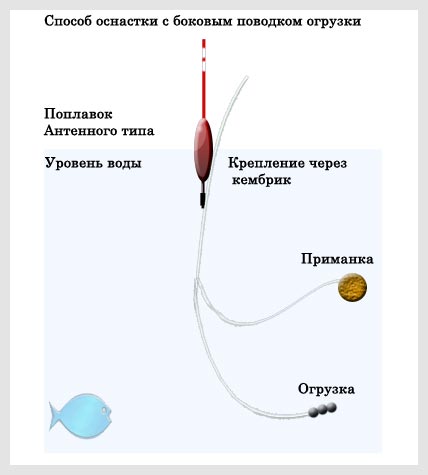 http://upforme.ru/uploads/0008/ad/8b/529-3-f.jpg