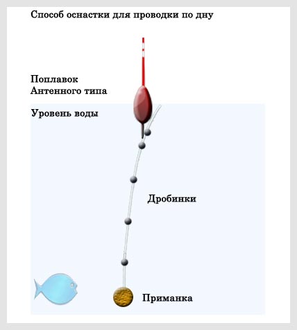 http://upforme.ru/uploads/0008/ad/8b/529-5-f.jpg