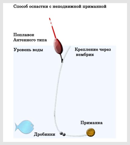 http://upforme.ru/uploads/0008/ad/8b/530-1-f.jpg