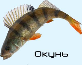 http://upforme.ru/uploads/0008/ad/8b/913-2.jpg