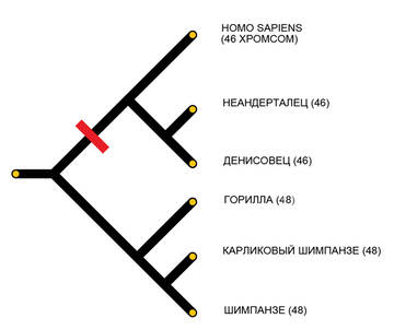 http://upforme.ru/uploads/0008/d2/69/26/t978258.jpg
