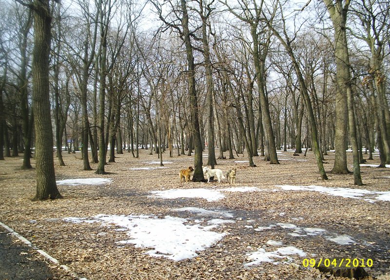 http://upforme.ru/uploads/0008/ea/fe/123070-3-f.jpg