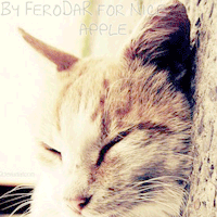 http://upforme.ru/uploads/0008/eb/01/12806-1.gif