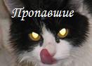 http://upforme.ru/uploads/0008/eb/74/6544-1.jpg