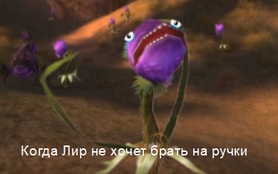 http://upforme.ru/uploads/0009/14/86/156/t60013.jpg