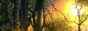http://upforme.ru/uploads/0009/18/ad/5841-5.gif