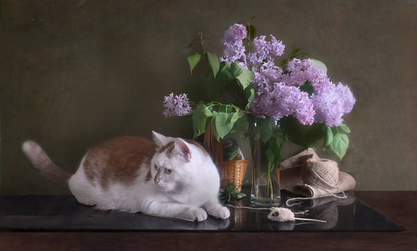 http://upforme.ru/uploads/0009/48/89/1168/t978744.jpg