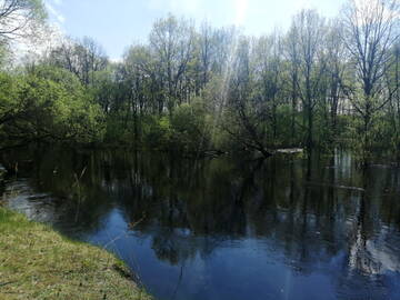 http://upforme.ru/uploads/0009/48/89/1412/t921889.jpg