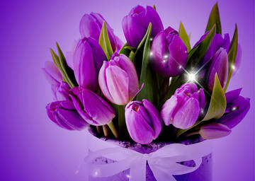 http://upforme.ru/uploads/0009/48/89/2351/t508743.jpg