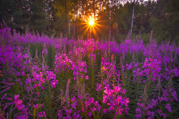 http://upforme.ru/uploads/0009/48/89/2351/t556595.jpg