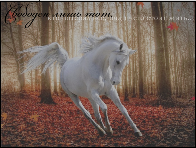 http://upforme.ru/uploads/0009/48/a5/7639-3-f.png