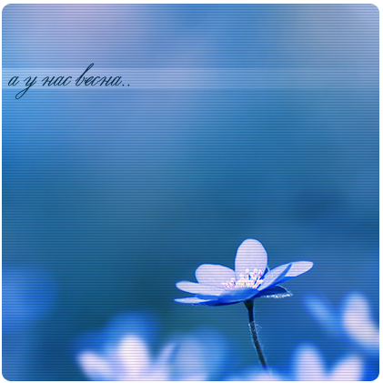 http://upforme.ru/uploads/0009/4d/3f/697-1-f.png