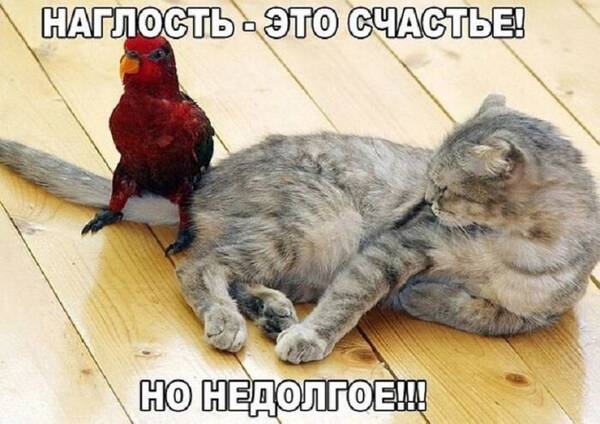 http://upforme.ru/uploads/0009/61/87/126/t142744.jpg