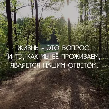 http://upforme.ru/uploads/0009/61/87/126/t283961.webp