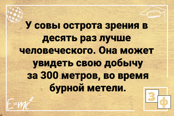 http://upforme.ru/uploads/0009/61/87/1290/861269.png