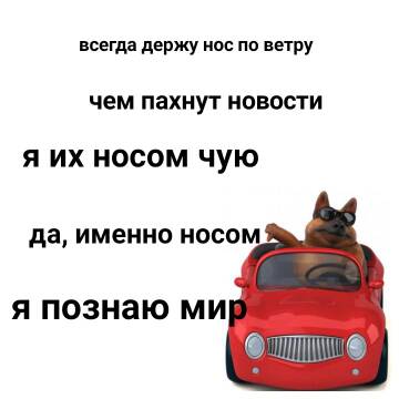 http://upforme.ru/uploads/0009/61/87/1290/t531741.jpg