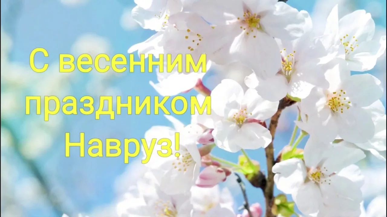 http://upforme.ru/uploads/0009/61/87/230/917146.jpg