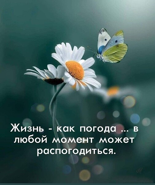 http://upforme.ru/uploads/0009/61/87/230/926678.jpg