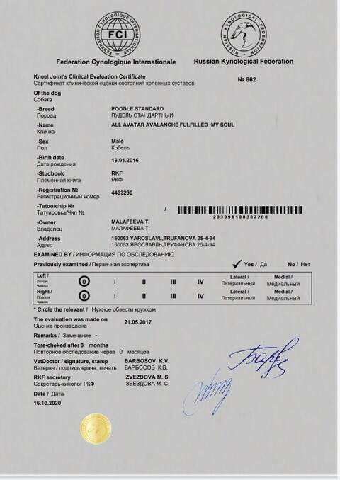 http://upforme.ru/uploads/0009/64/d6/2/t249770.jpg