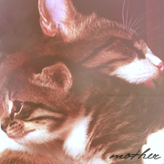 http://upforme.ru/uploads/0009/69/df/12229-1.png